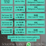 CASTRACIONES
