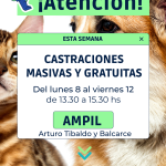 CALENDARIO CASTRACIONES