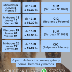 CALENDARIO CASTRACIONES (5)