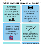 Biología Infográfica Verde Orgánico Fotosíntesis Natural (Post de Instagram) (Historia de Instagram)
