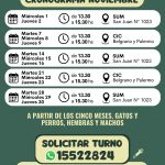 Castraciones noviembre