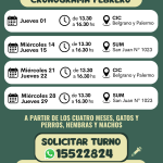 CALENDARIO CASTRACIONES NUEVO H (8)
