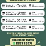 Cronograma castraciones marzo