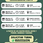 Cronograma castraciones mayo