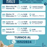 Cronograma castraciones marzo