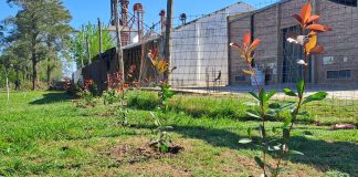 El Ecológico Norte suma un cerco vivo