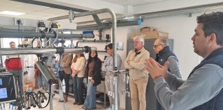Desarrollo e innovación industrial