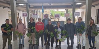 Se entregaron los primeros frutales del programa “San Martín más verde”